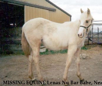 MISSING EQUINE Lenas Nu Bar Babe, Near Caldwell, ID, 00000